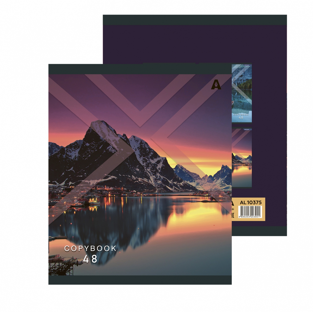 Тетрадь 48л., А5, клетка, Alingar "Необычный пейзаж", скрепка, мелованый картон ( стандарт), блок офсет, 5 дизайнов в пленке т/у