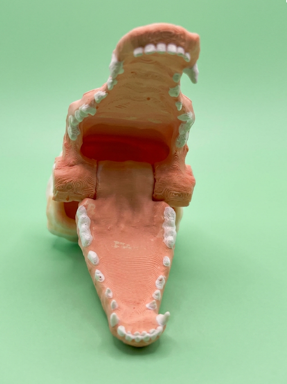 Открывающаяся пасть (модель)- составной запатентованный механизм без силиконового языка