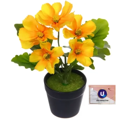 Цветочная композиция «Поцелуй лета» Космея желтая 20см