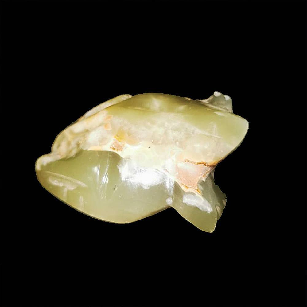 Лягушка оникс асс.