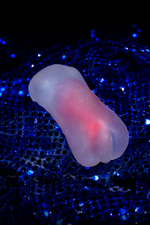 Мастурбатор реалистичный Sujiman Kupa Lolinco девственница прозрачный