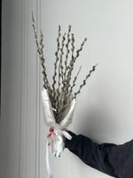 Пучок вербы в упаковке