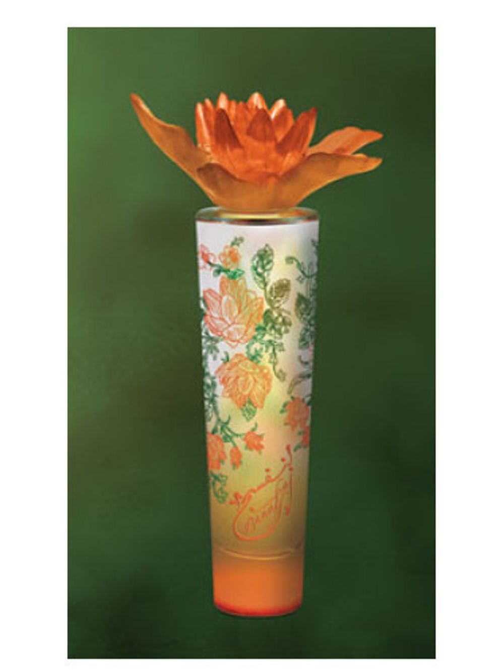 Syed Junaid Alam Banafsaj Spring