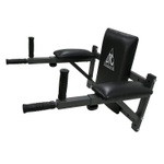 Брусья настенные DFC Homegym G294