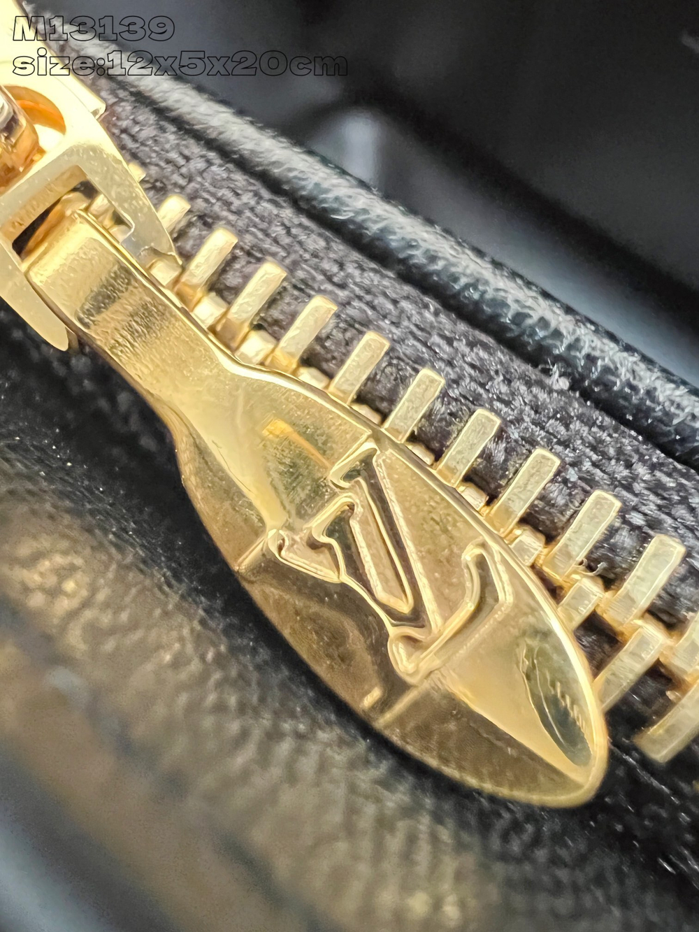 Louis Vuitton GO-14 Wallet On Chain Bag