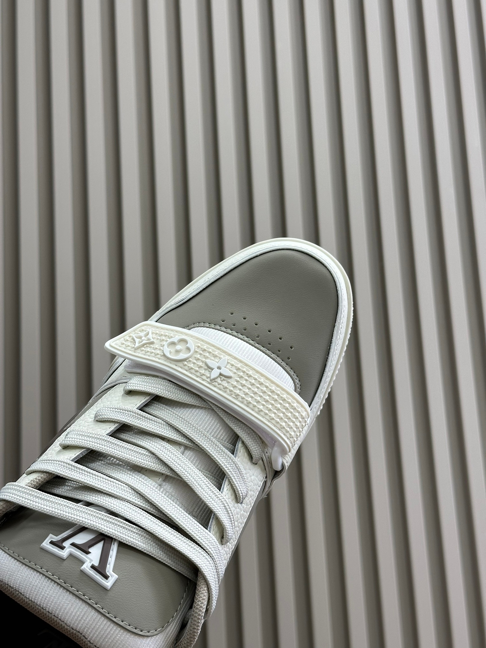 Louis Vuitton Trainer (2 colors)
