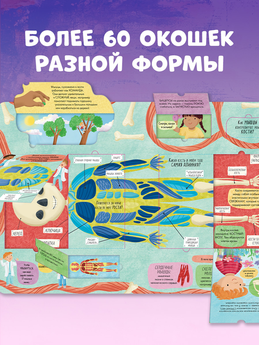 Большая книга с окошками. Тело человека