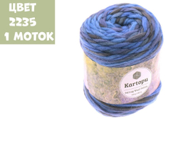 Felting Wool prints (Kartopu)