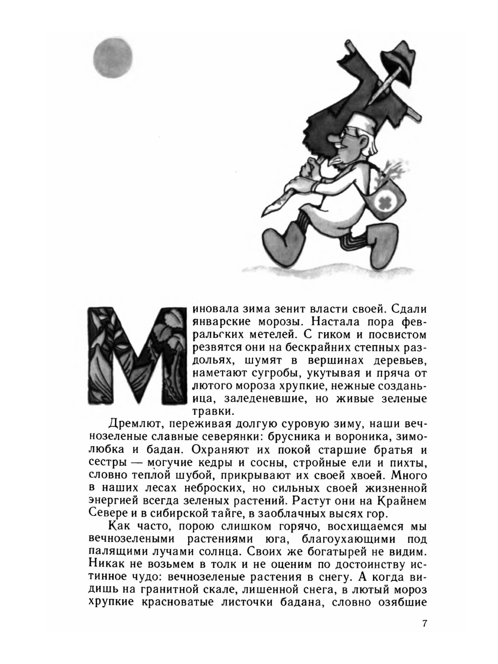 Лесной огород | Г.М. Свиридонов