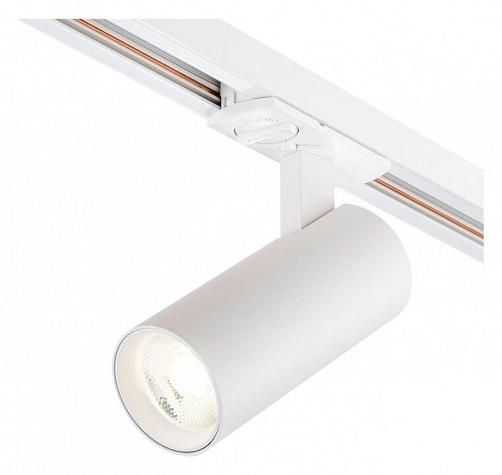 Светильник на штанге Escada 20002 20002TRA/02LED SWH