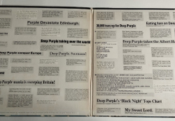 Винтажная виниловая пластинка LP Deep Purple Who Do We Think We Are (USA 1975) Rat Bat Blue