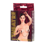 Зажимы для сосков с цепочкой ToyFa Theatre 705002