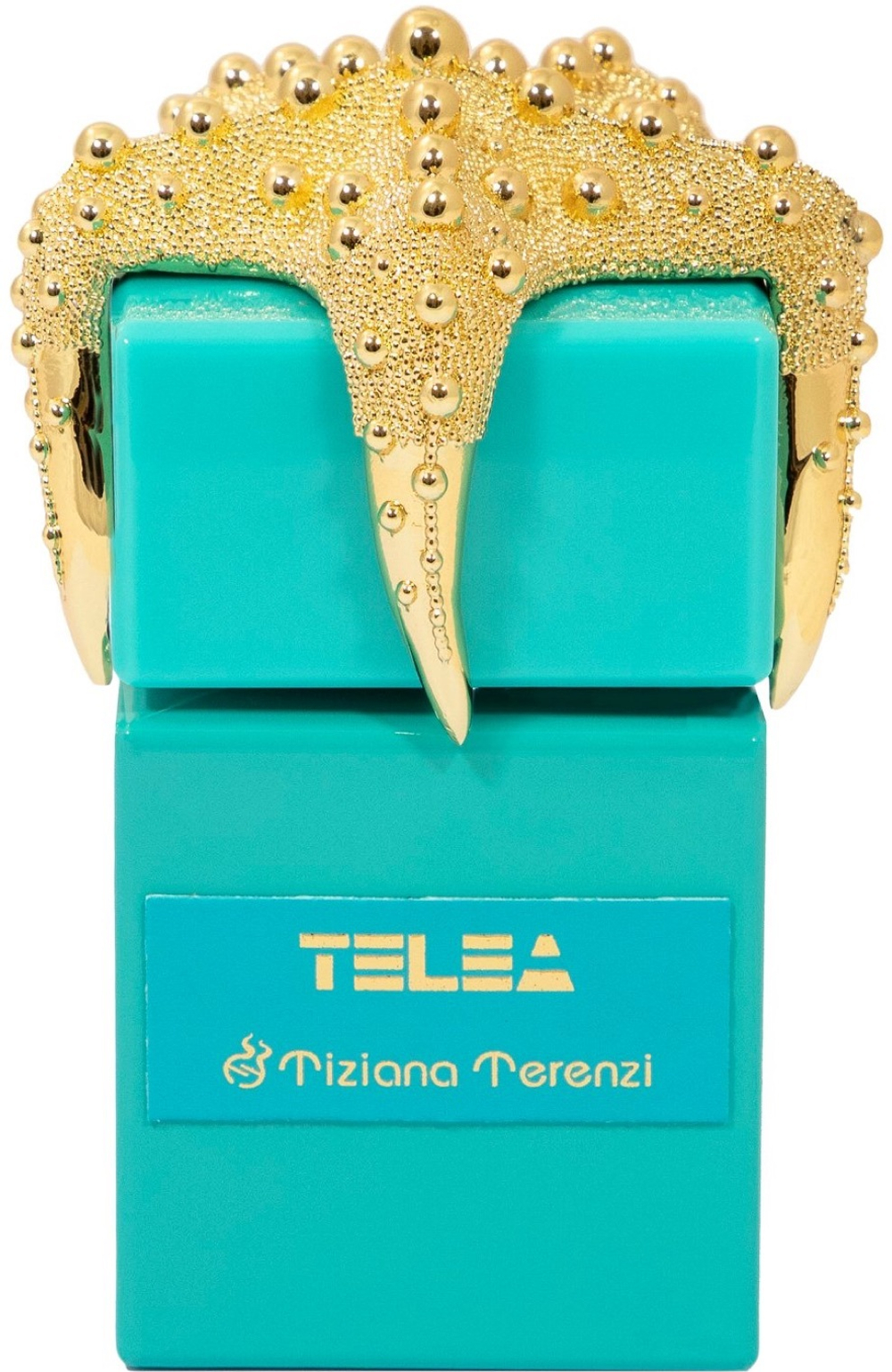 Tiziana Terenzi Telea
