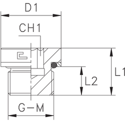 Заглушка V (Ш) М22х1.5