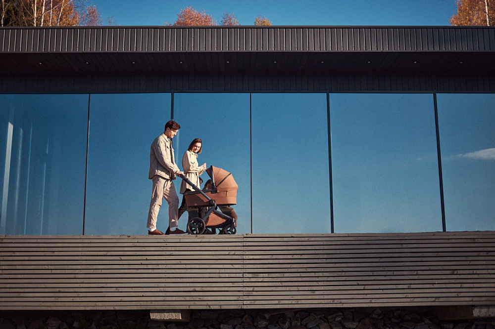 Детская коляска Anex l/type 3 в 1 Hazel