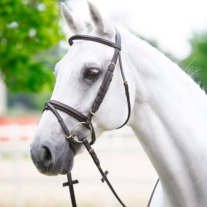 DASLO Оголовье трензельное с резиновым поводом COB