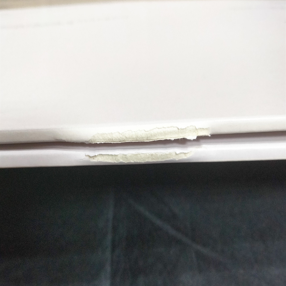 Gary Numan / Savage (Songs From A Broken World)(2LP)