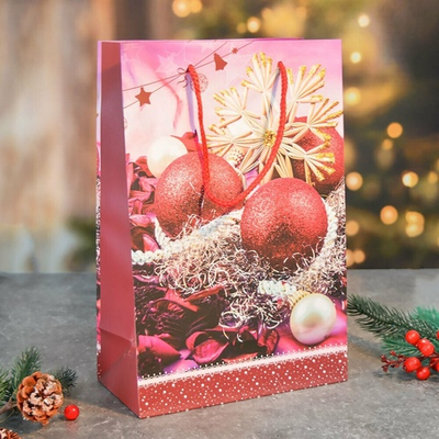 Пакет бумажный 20*30*10см с ручками "Новый год" (микс 431)