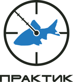 Практик