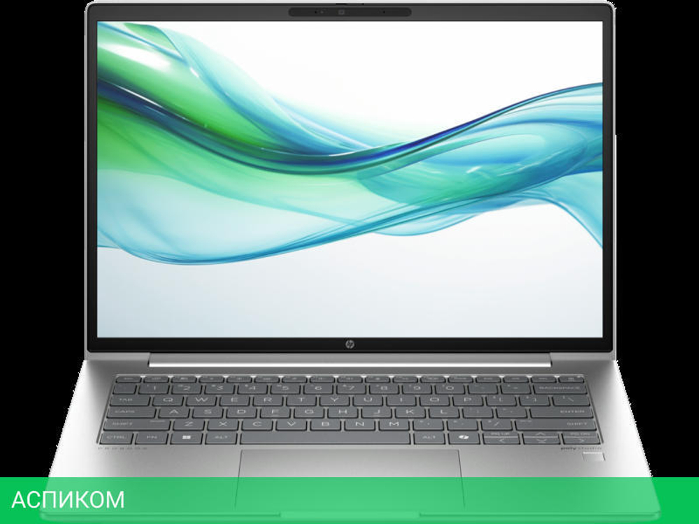 Ноутбук HP Probook 445 G11 Silver (8Z9P6AV)
