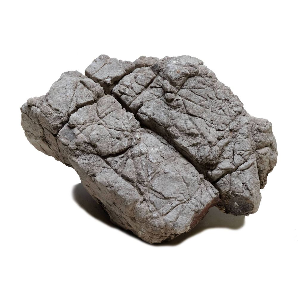 Камень серый Лао S 10-20 см