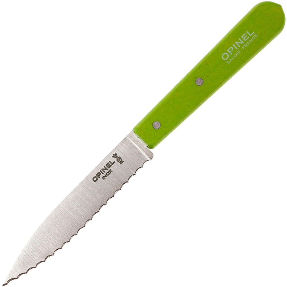 Нож столовый Opinel №113, нержавеющая сталь, блистер, зеленый