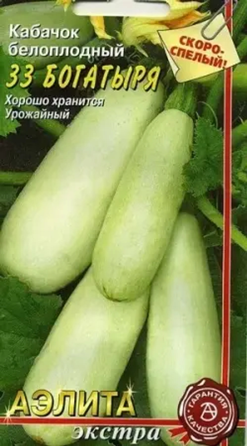 Кабачок 33 богатыря 2г