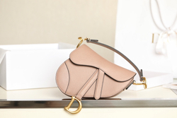 Christian Dior Saddle Bag 21 cm