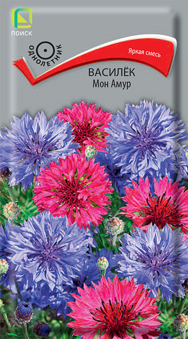 Василек Мон Амур