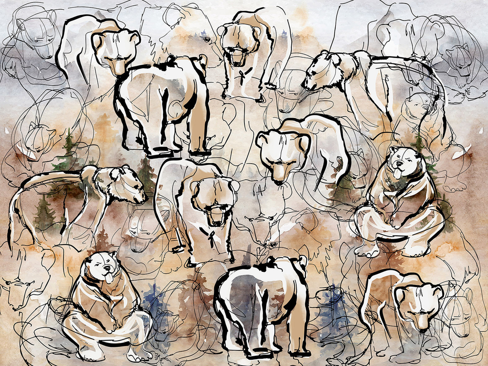 Дизайнерские обои Wall Street Siberia