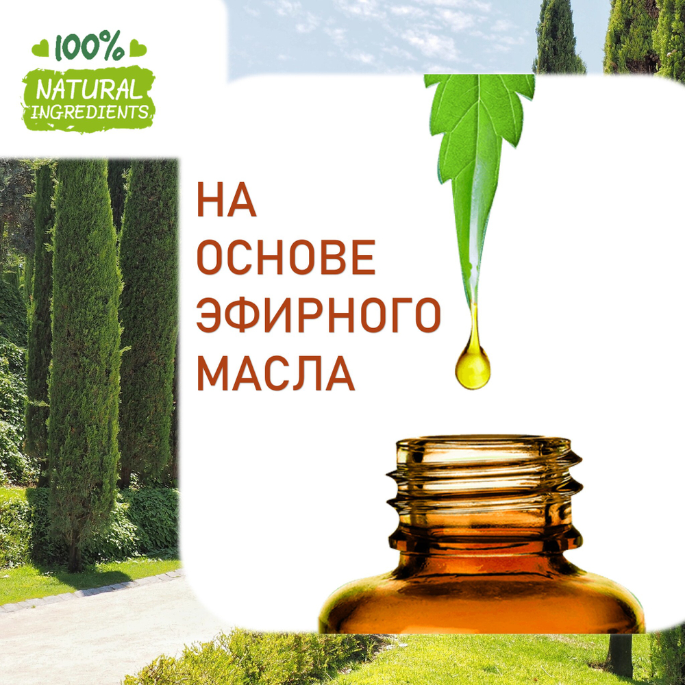 Кипарисовый рай, отдушка для свечей и мыла