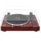 Music Public Kingdom TT53AT Red Wood