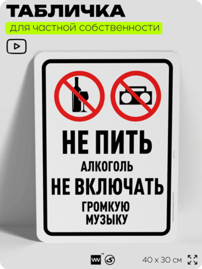 Табличка для частной территории "Не пить алкоголь, не включать громкую музыку", на дом, для участка, организаций и частных территорий, предупреждающая, 40х30 см, Silver Plane x Айдентика Технолоджи