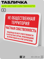 Табличка для частной территории "Не общественная территория, частная собственность", на дом, для участка, организаций, предупреждающая, 40х30 см, Silver Plane x Айдентика Технолоджи
