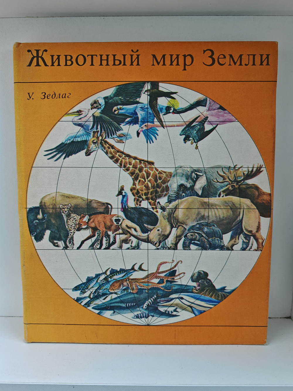 Животный мир Земли