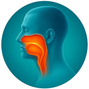 НОСОГЛОТКА