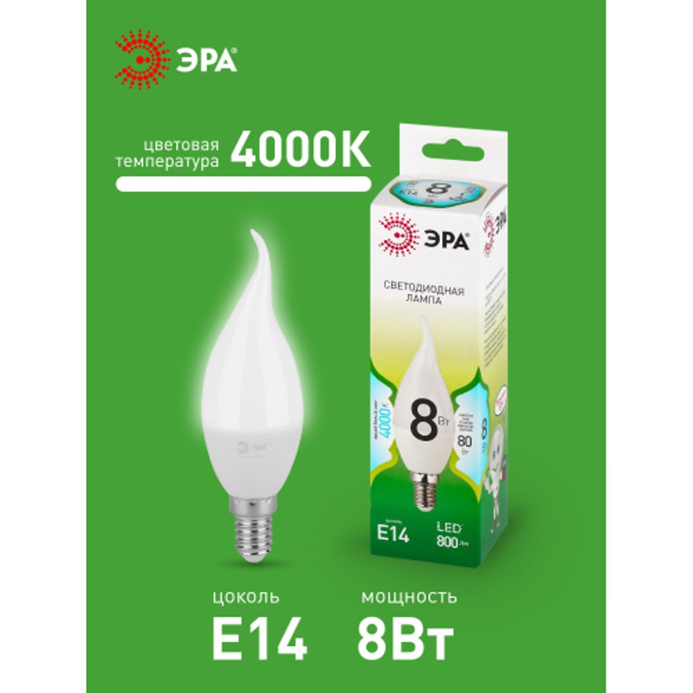 Лампа светодиодная ЭРА GREEN LINE LED BXS-8W-840-E14 GL 8Вт свеча на ветру яркий белый свет E14 | Лампы cветодиодные Свеча (B/C)