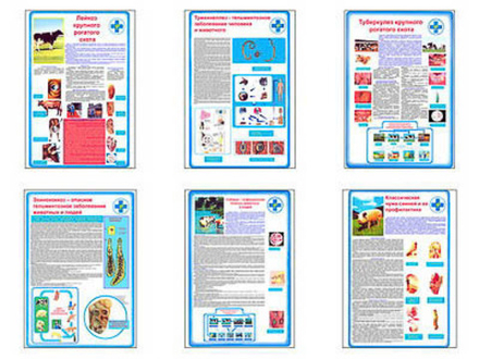 Плакаты ПРОФТЕХ "Болезни крупнорогатого скота" (6 пл, винил, 70х100)