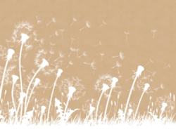 Коллекция Flower dreams 2