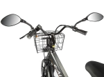 Электровелосипед GREEN CITY e-ALFA Trike (синий)
