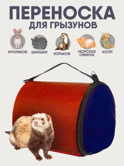 Переноска для грызуна, шиншилл, котят, 36х23х20 см
