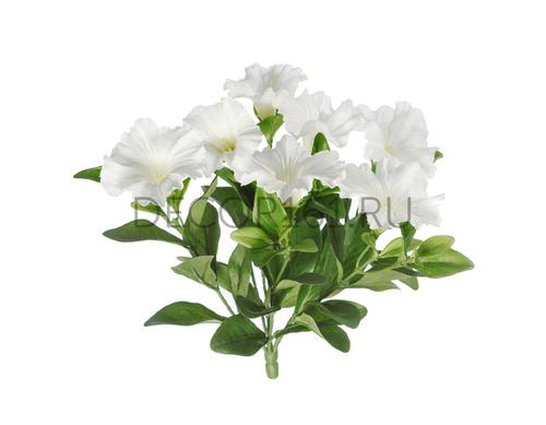Петуния куст белый в-20 см 7 цв 12/120 20.1086W