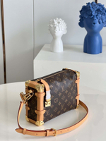 Louis Vuitton Side Trunk