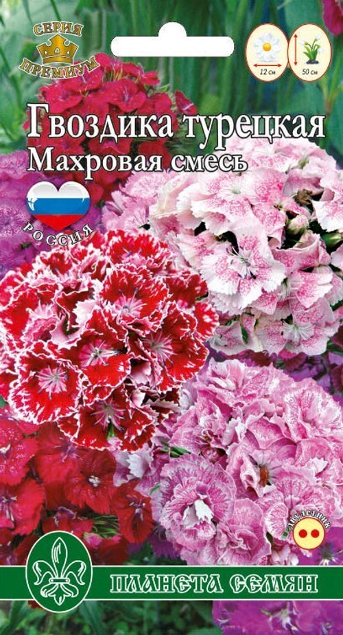 Гвоздика турецкая Махровая смесь