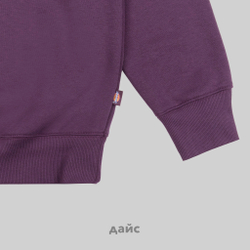 Толстовка мужская Dickies Summerdale Sweatshirt