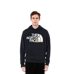 Худи THE NORTH FACE Logo, NF0A5JV6-JK3