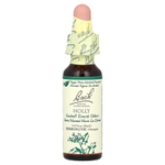 Bach, Original Flower Remedies, падуб, 10 мл (0,35 жидк. унции)