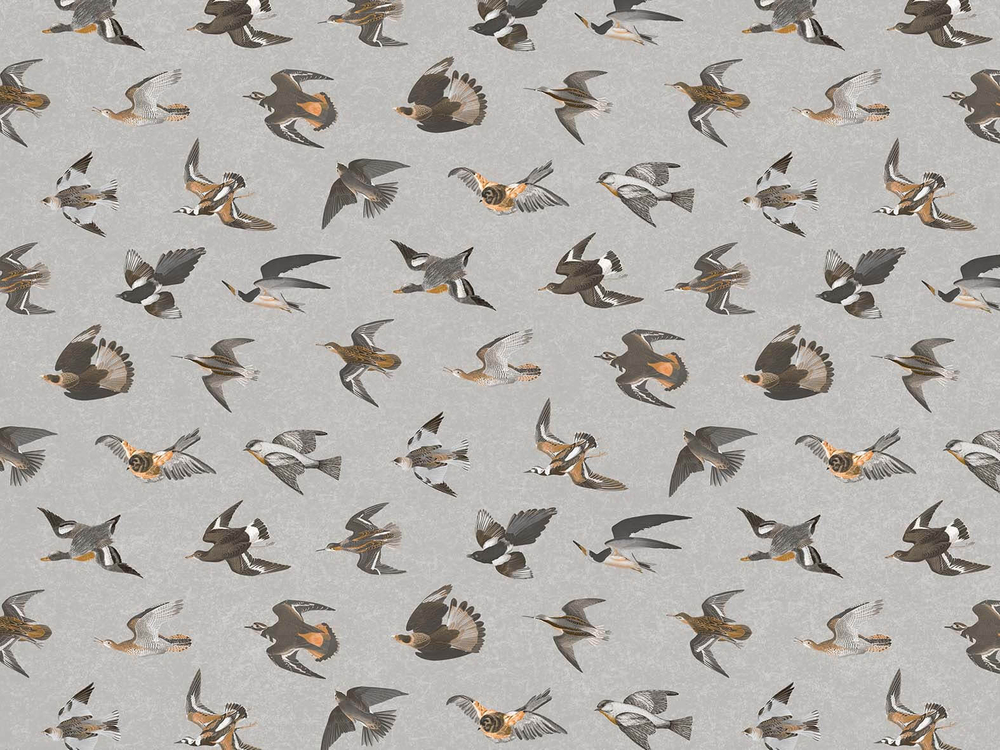 Дизайнерские обои Wall Street Eden-21