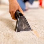 Моющий пылесос SE 2 Spot