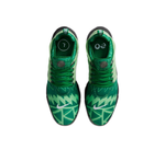Кроссовки Nike Air Presto 'Naija' CJ1229-300